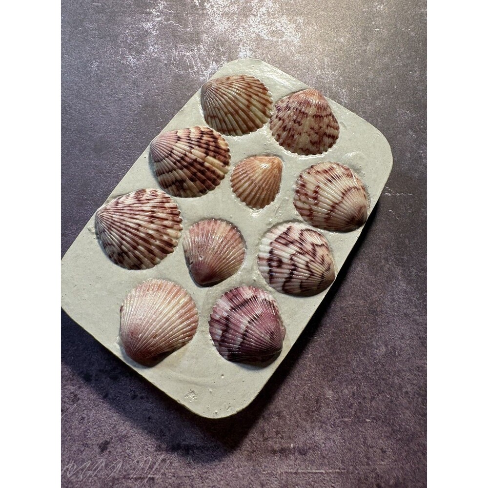 Handmade Soap Dish Cement Soap Holder Bathroom Kitchen Pink Sea Shells